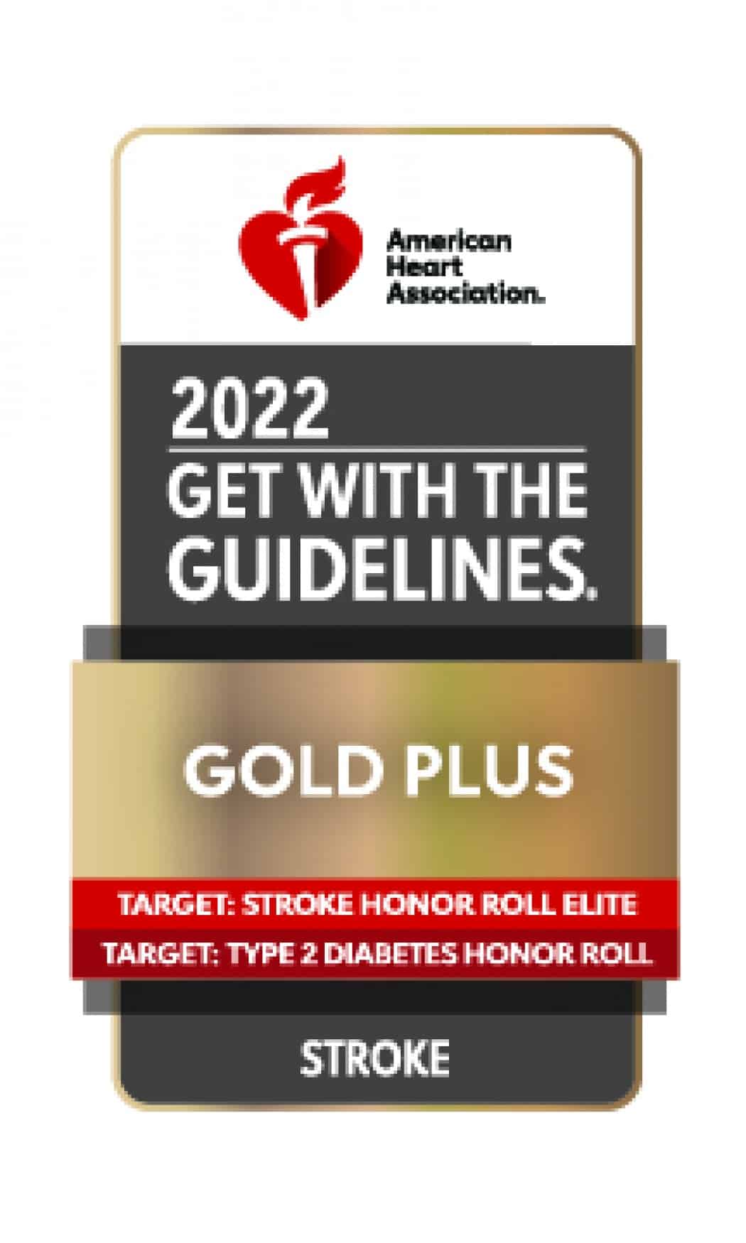 Gold Plug logo for stroke care